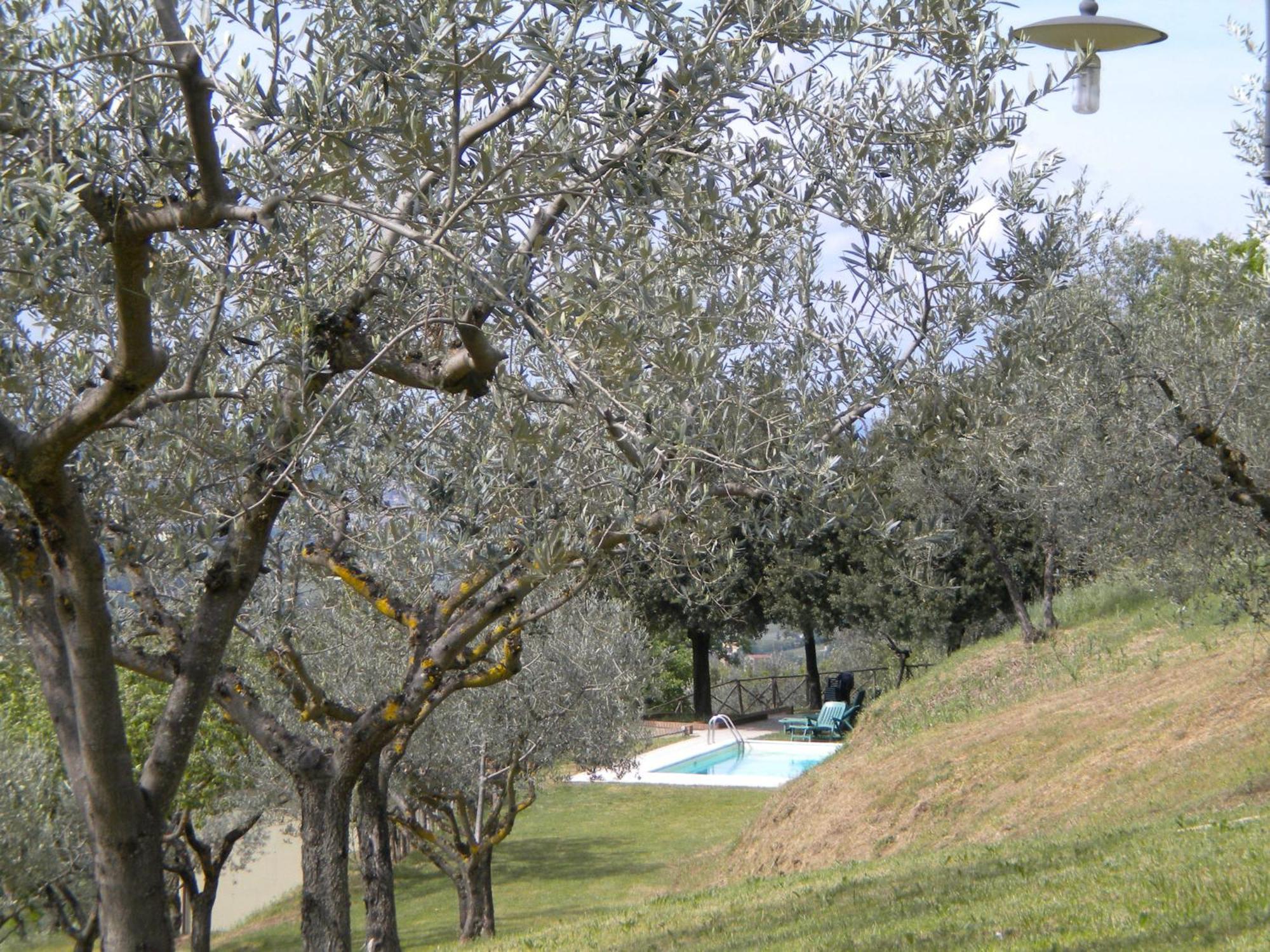 Il Poggio Delle Ginestre Vendégház Torgiano Kültér fotó