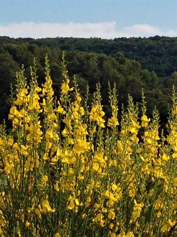 Il Poggio Delle Ginestre Vendégház Torgiano Kültér fotó