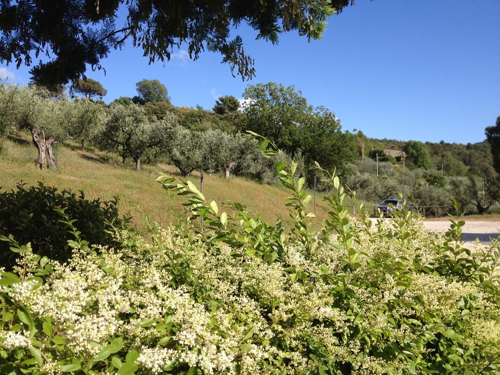 Il Poggio Delle Ginestre Vendégház Torgiano Kültér fotó
