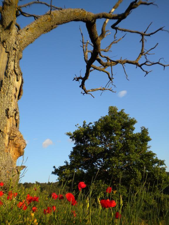 Il Poggio Delle Ginestre Vendégház Torgiano Kültér fotó